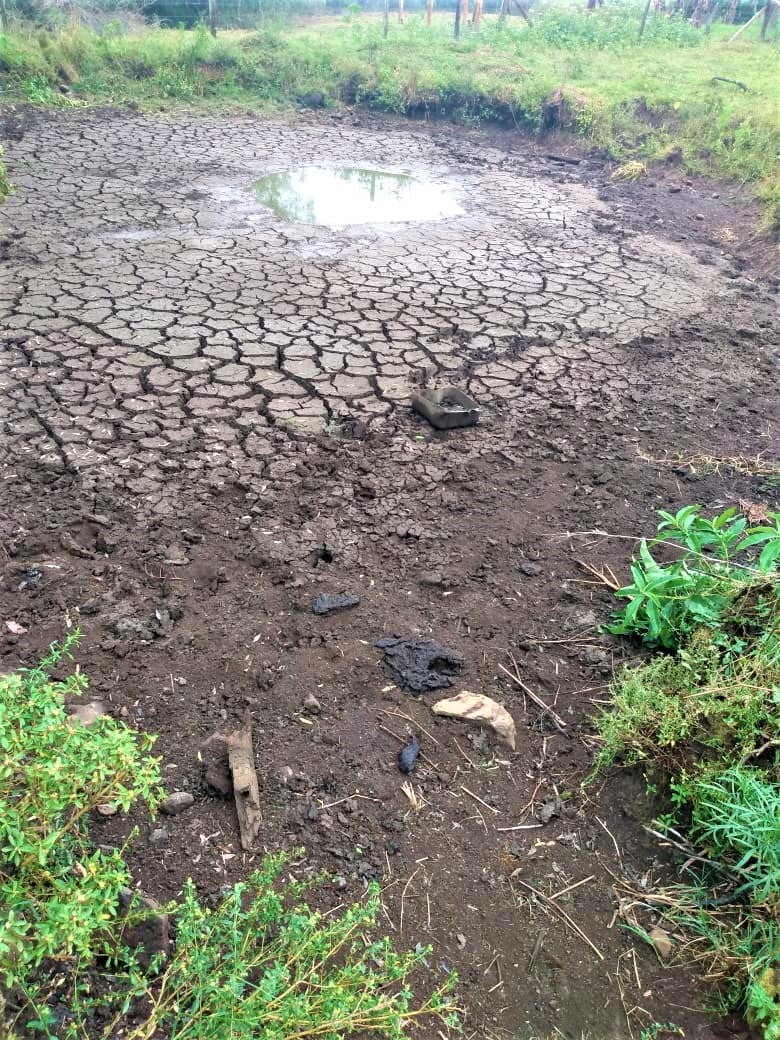 CHUVA NÃO RESOLVEU ESCASSEZ DE ÁGUA 